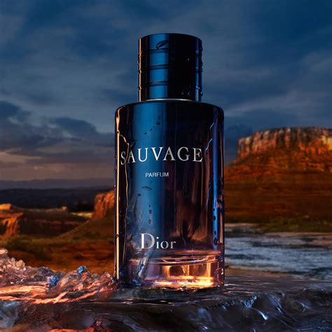 dior - sauvage eau de parfum spray|sauvage eau de parfum 100ml.